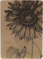 Plant cover sktechbook