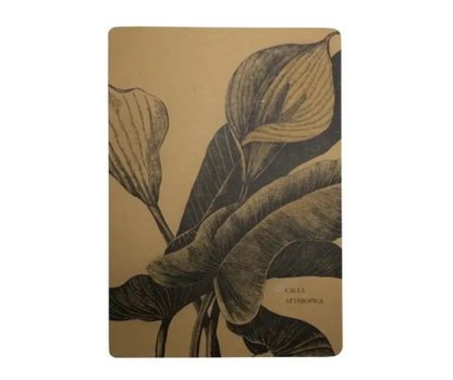 Plant cover sktechbook