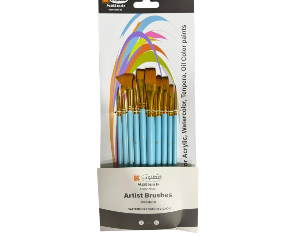 Artist brushes 10 different pcs set