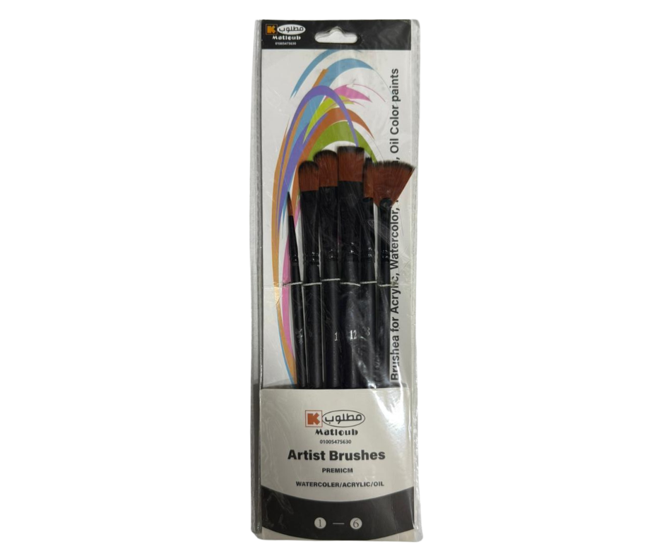 Artist Brushes 6 different pcs