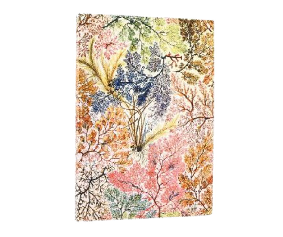 Hard Cover Sketchbook